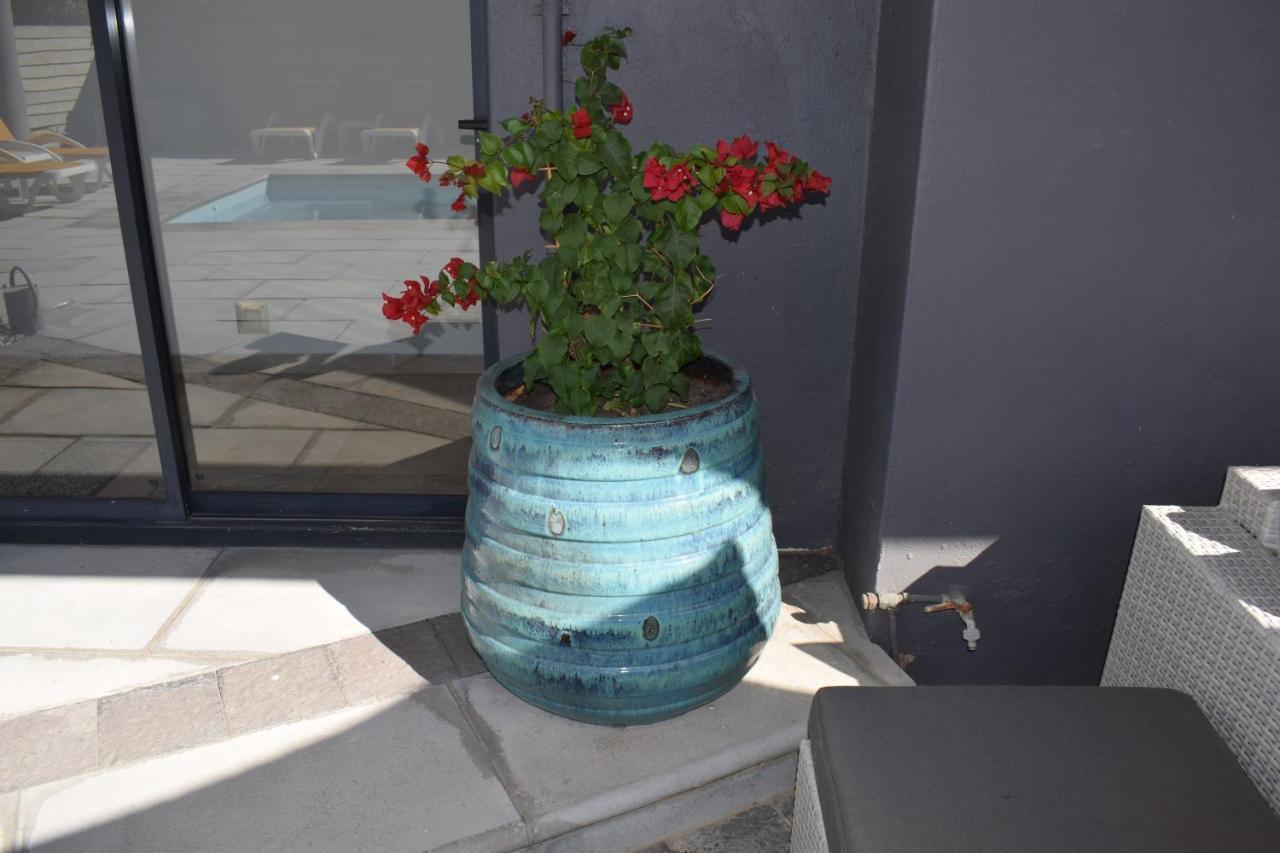Capetown 4U Guesthouse Bloubergstrand Eksteriør billede